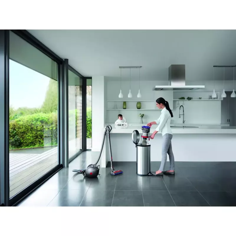 Cylinder vacuum Dyson Big ball Parquet 2