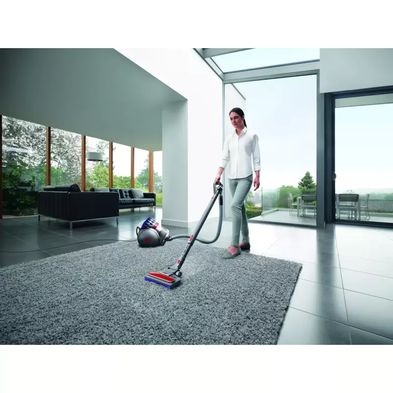 Cylinder vacuum Dyson Big ball Parquet 2