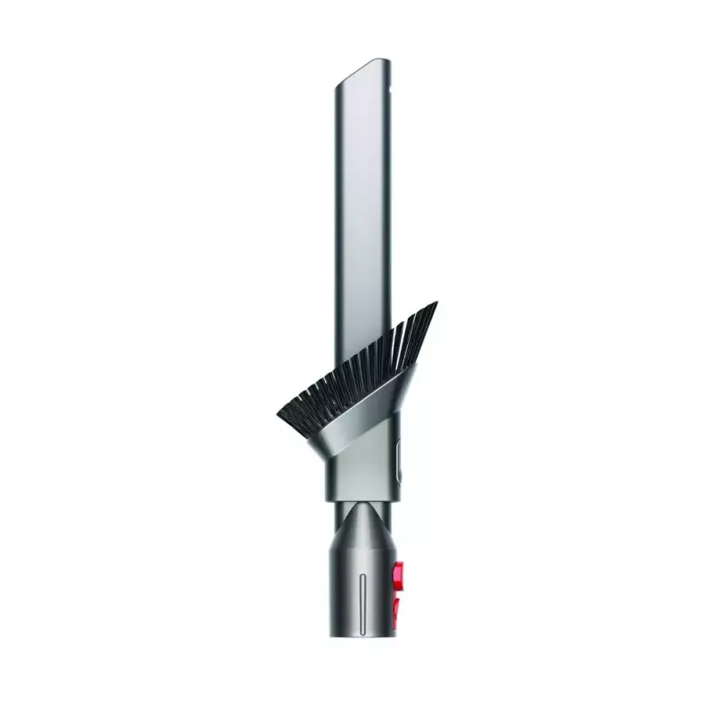Cylinder vacuum Dyson Big ball Parquet 2