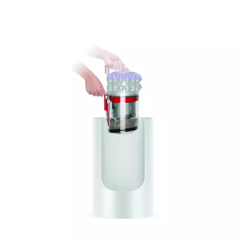 Cylinder vacuum Dyson Big ball Parquet 2