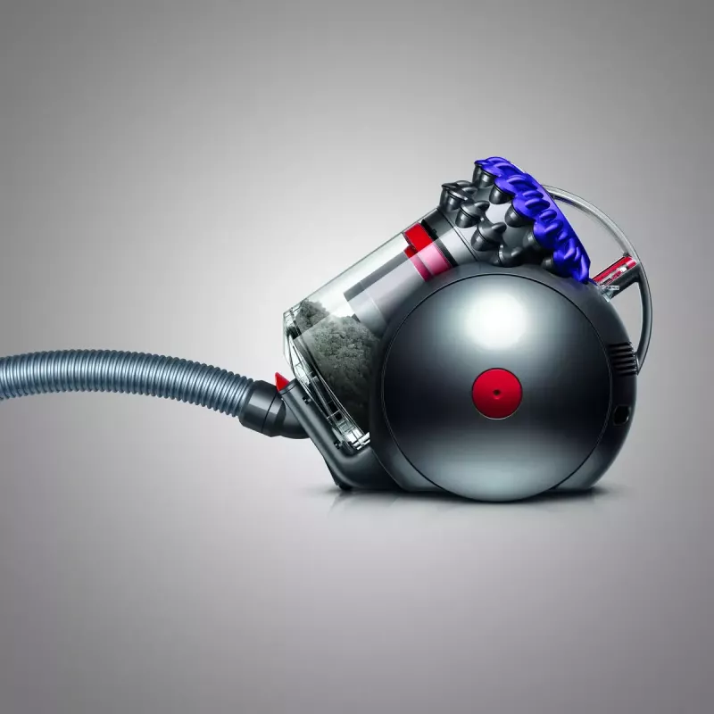 Cylinder vacuum Dyson Big ball Parquet 2