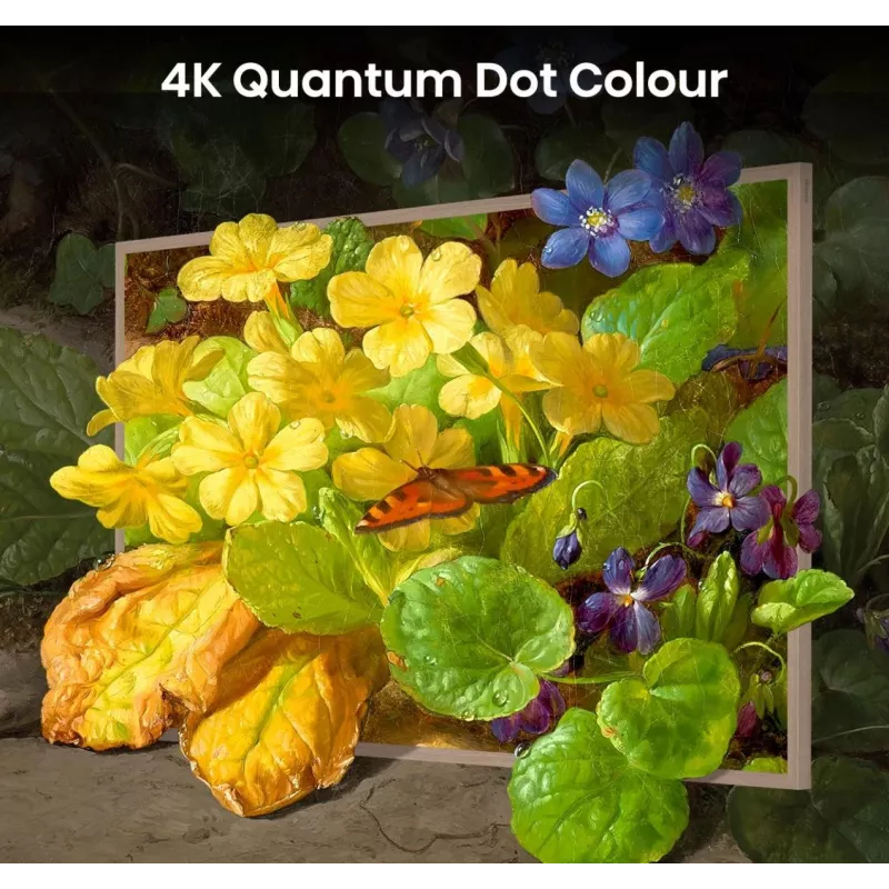 Hisense 55 inch S7NQTUK Canvas TV with Freely & ArtMode