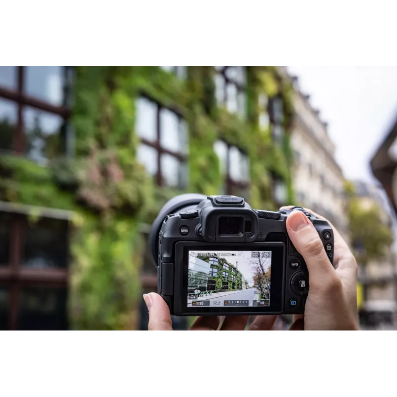 Canon EOS R8, 24.2 MP, 6000 x 4000 pixels, CMOS, 4K Ultra HD, Touchscreen, Black