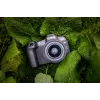Canon EOS R8, 24.2 MP, 6000 x 4000 pixels, CMOS, 4K Ultra HD, Touchscreen, Black