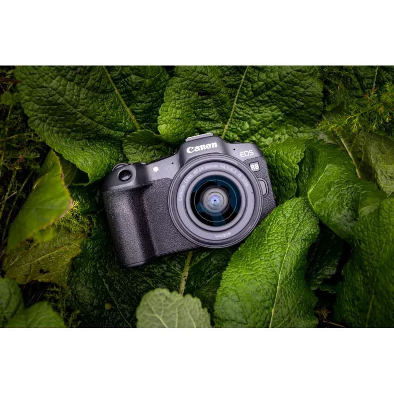 Canon EOS R8, 24.2 MP, 6000 x 4000 pixels, CMOS, 4K Ultra HD, Touchscreen, Black