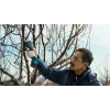 Bosch Pro Pruner Professional cordless grass shear 2.5 cm 12 V Lithium-Ion (Li-Ion) Blue