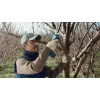 Bosch Pro Pruner Professional cordless grass shear 2.5 cm 12 V Lithium-Ion (Li-Ion) Blue