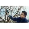 Bosch Pro Pruner Professional cordless grass shear 2.5 cm 12 V Lithium-Ion (Li-Ion) Blue
