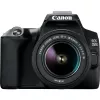 Canon EOS 250D + EF-S 18-55mm f/3.5-5.6 III SLR Camera Kit 24.1 MP CMOS 6000 x 4000 pixels Black