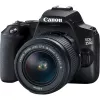 Canon EOS 250D + EF-S 18-55mm f/3.5-5.6 III SLR Camera Kit 24.1 MP CMOS 6000 x 4000 pixels Black