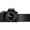 Canon EOS 250D + EF-S 18-55mm f/3.5-5.6 III SLR Camera Kit 24.1 MP CMOS 6000 x 4000 pixels Black