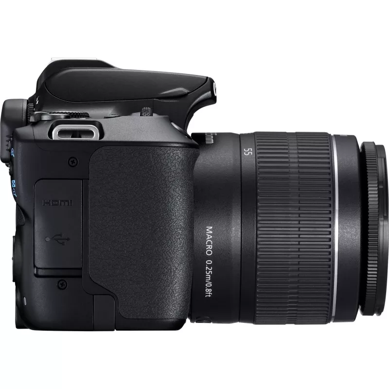 Canon EOS 250D + EF-S 18-55mm f/3.5-5.6 III SLR Camera Kit 24.1 MP CMOS 6000 x 4000 pixels Black