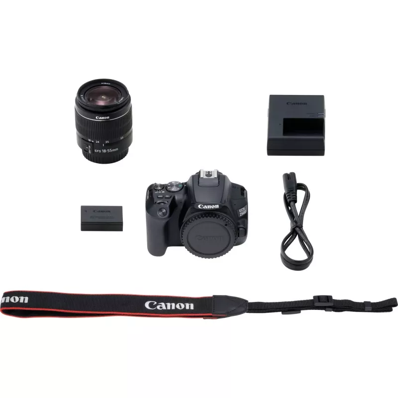 Canon EOS 250D + EF-S 18-55mm f/3.5-5.6 III SLR Camera Kit 24.1 MP CMOS 6000 x 4000 pixels Black