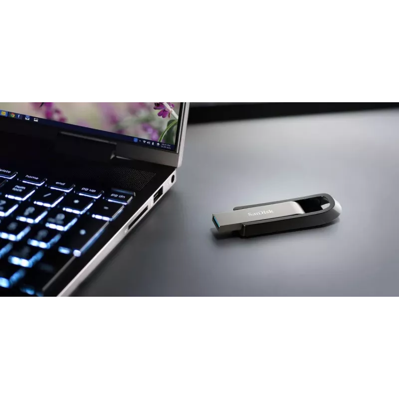 WESTERN DIGITAL SanDisk Ultra Extreme GO - 256GB USB Stick - USB 3.2