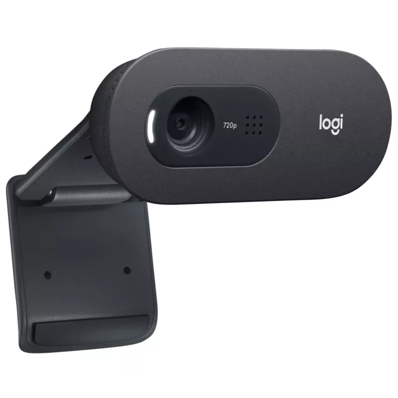 LOGITECH C505e Webcam USB Black