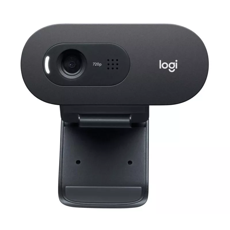 LOGITECH C505e Webcam USB Black