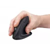 Trust Verto mouse Office Right-hand RF Wireless Optical 1600 DPI