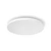 Philips Hue White and colour ambience Datura Ceiling Light Large