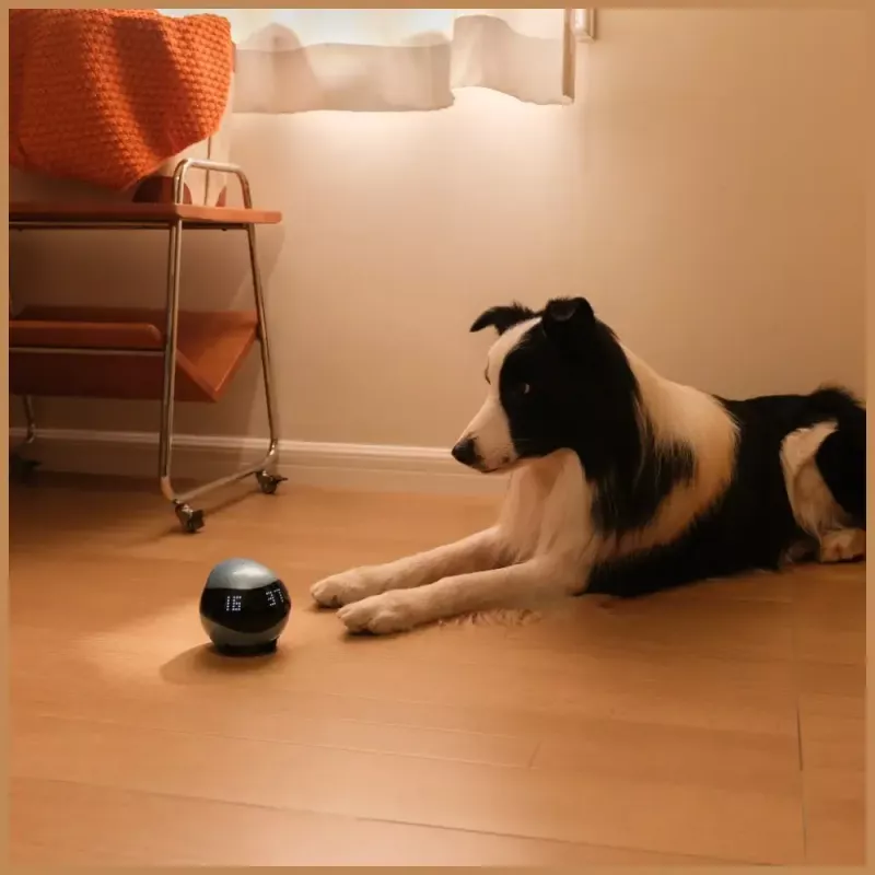 Monitoring robot Enabot EBO AIR 2 — mobile home camera, pink