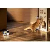 Surveillance Camera Enabot Family Robot IP Camera ROLA PetPal WH287304