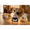 Surveillance Camera Enabot Family Robot IP Camera ROLA PetPal WH287304