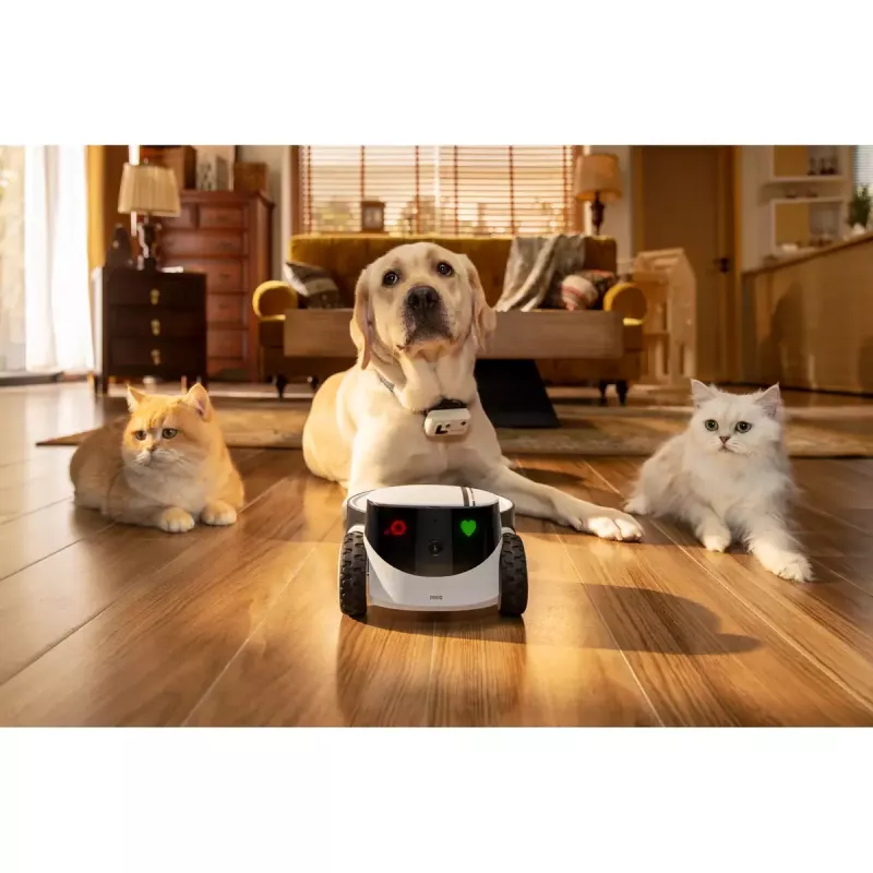 Surveillance Camera Enabot Family Robot IP Camera ROLA PetPal WH287304