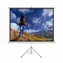 Projection screen ART ER T100 4:3