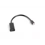 Video cable adapter LANBERG Mini DisplayPort (male) to HDMI Type A (female), 0.2 m, 1920x1200 @60Hz, DisplayPort 1.2, black