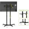 Techly Floor Trolley with Shelf Support LCD / LED / Plasma 30-65 inch ICA-TR6