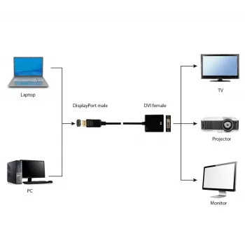 GEMBIRD DisplayPort to DVI Adapter Cable - Black