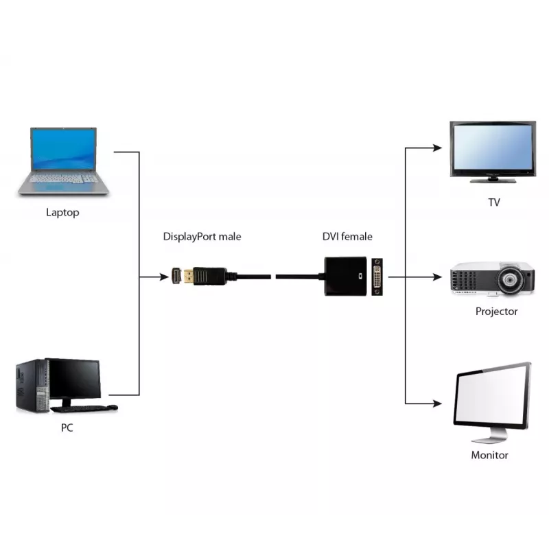 GEMBIRD DisplayPort to DVI Adapter Cable - Black