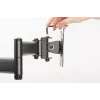 DIGITUS Dual Monitor Stand clam for monitors up to 70cm (27in) (DA-90349)