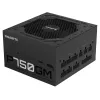 Gigabyte P750GM Power Supply 750 Watts Efficiency 80 PLUS GOLD, PFC Active, MTBF 100000 hours