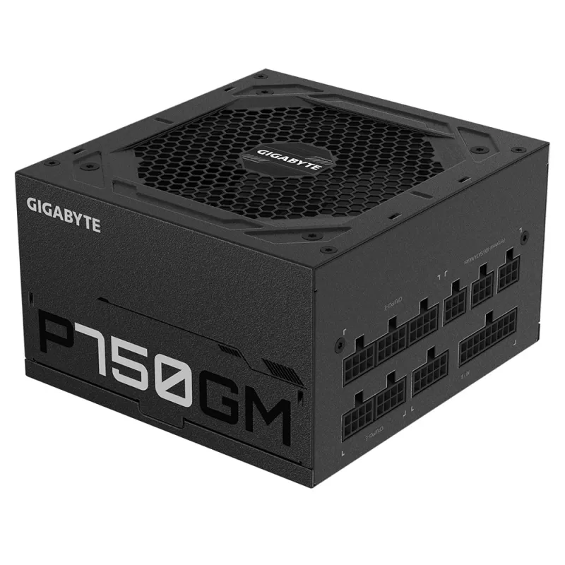 Gigabyte P750GM Power Supply 750 Watts Efficiency 80 PLUS GOLD, PFC Active, MTBF 100000 hours