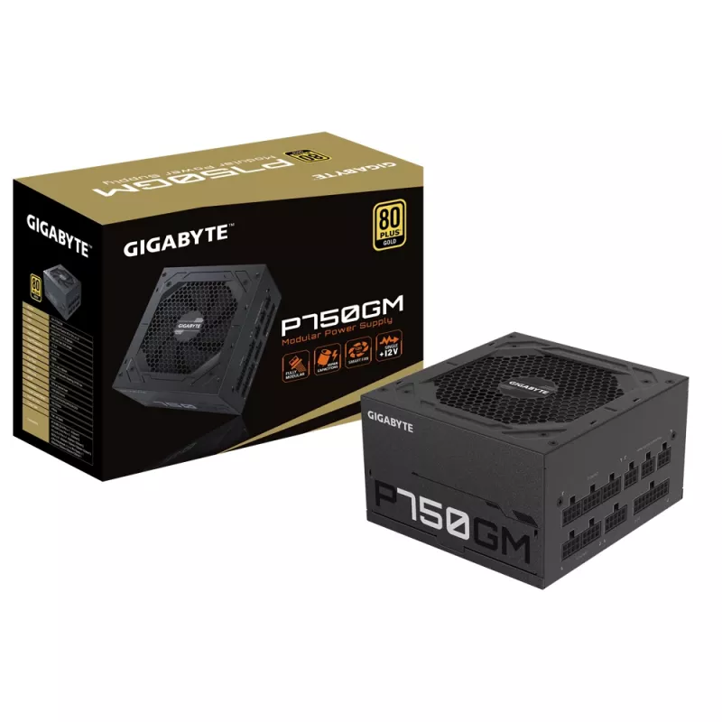 Gigabyte P750GM Power Supply 750 Watts Efficiency 80 PLUS GOLD, PFC Active, MTBF 100000 hours