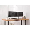 DIGITUS Universal Dual Monitor Stand 17-32in 2x 8kg (max.) Black