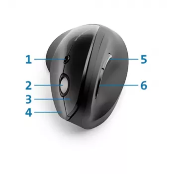Mouse Kensington Pro Fit Ergo Vertical Wireless RF Wireless