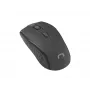 Wireless Optical Mouse NATEC Jay 2 RF — 2.4 GHz, 1600 DPI, ambidextrous, 4 buttons, black