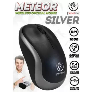 Wireless optical mouse Rebeltec METEOR silver RBLMYS00050 USB