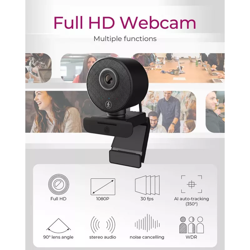 ICY BOX IB-CAM501-HD webcam 1920 x 1080 pixels USB 2.0 Black