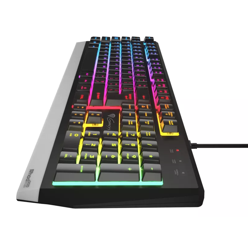 GENESIS Rhod 300 RGB keyboard Gaming USB QWERTY English Black