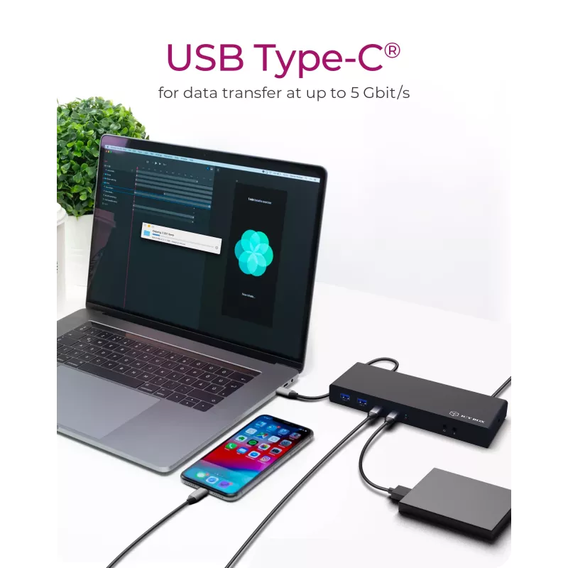 ICY BOX IB-DK2245AC Wired USB 3.2 Gen 1 (3.1 Gen 1) Type-C Black