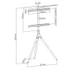 Floor TV mount TECHLY ICA-TR18SAM for 45 inch–65 inch (114.3–165.1 cm), VESA 200x200–600x400, capacity 32 kg, walnut