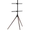 Floor TV mount TECHLY ICA-TR18SAM for 45 inch–65 inch (114.3–165.1 cm), VESA 200x200–600x400, capacity 32 kg, walnut