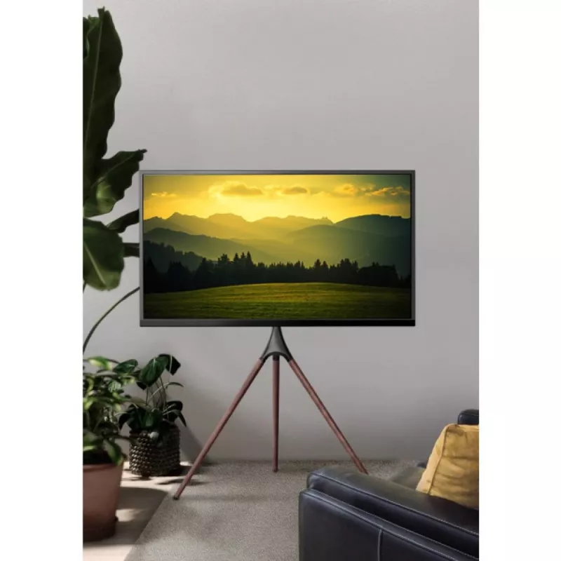Floor TV mount TECHLY ICA-TR18SAM for 45 inch–65 inch (114.3–165.1 cm), VESA 200x200–600x400, capacity 32 kg, walnut