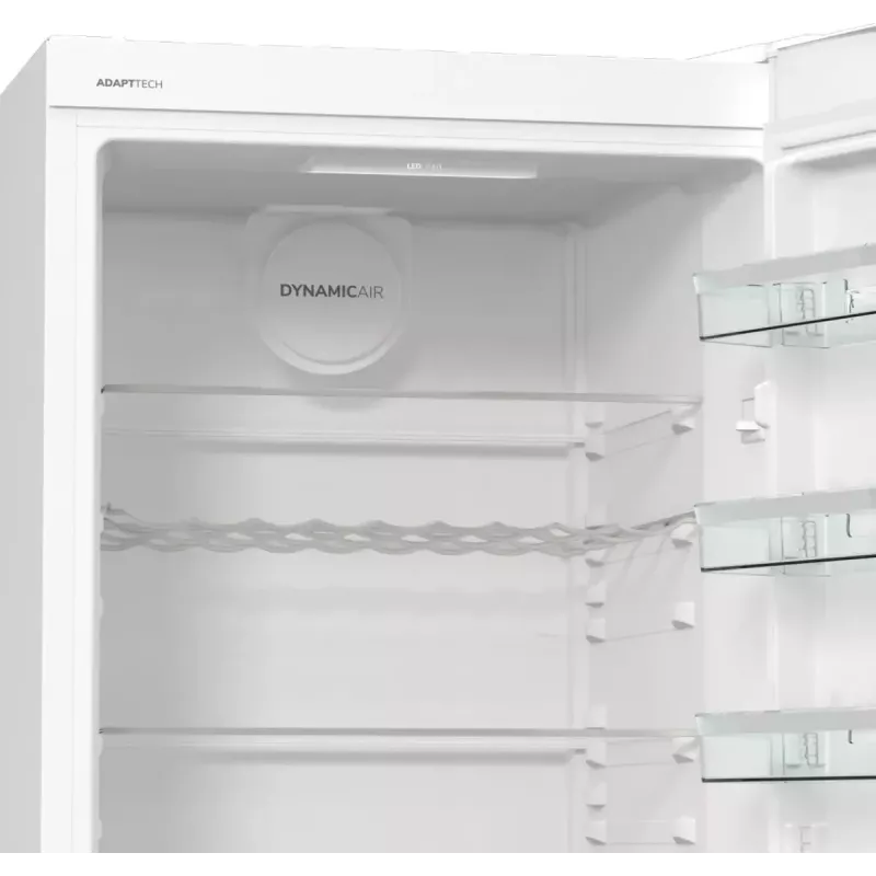 Freestanding fridge Gorenje R619EAW6 — 398 L, Energy class E, 1850×595×663 mm, white