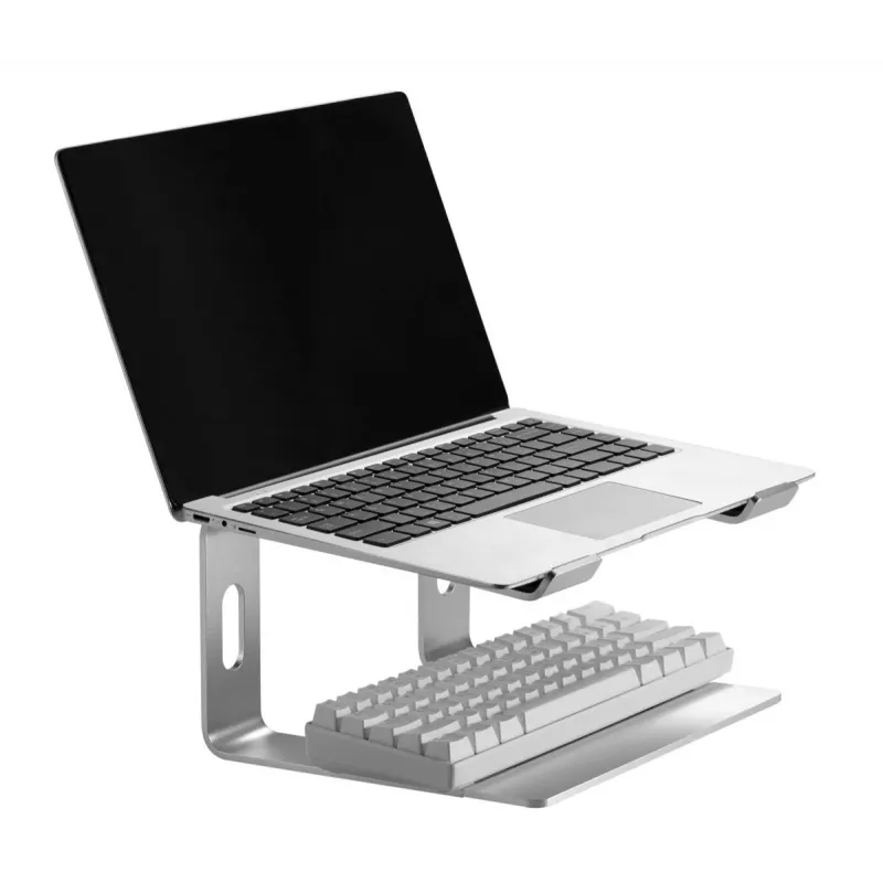 Laptop stand Gembird NBS-D1-01 Aluminium Silver for up to 39.6 cm (15.6 inch) notebooks, 5 kg capacity