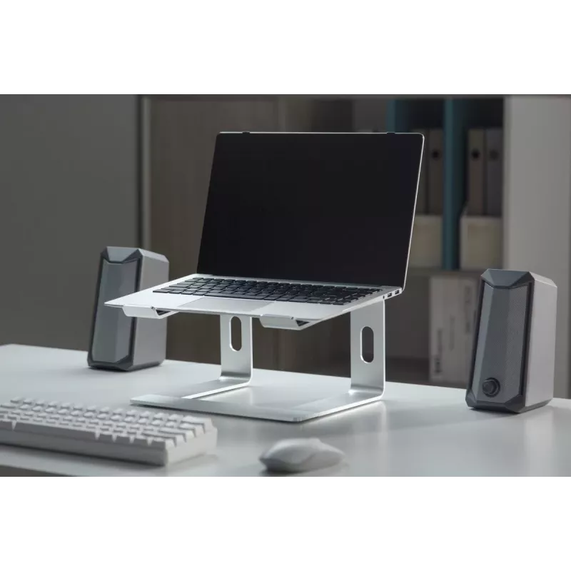 Laptop stand Gembird NBS-D1-01 Aluminium Silver for up to 39.6 cm (15.6 inch) notebooks, 5 kg capacity