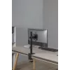 GEMBIRD Desk Mounted Single Monitor Arm, 17in-32in