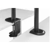 GEMBIRD Desk Mounted Single Monitor Arm, 17in-32in